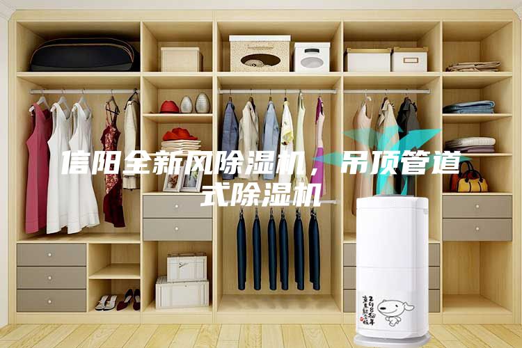 信陽全新風(fēng)除濕機(jī)，吊頂管道式除濕機(jī)