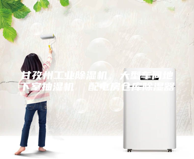 甘孜州工業(yè)除濕機(jī)，大型車(chē)間地下室抽濕機(jī)  配電房倉(cāng)庫(kù)除濕器