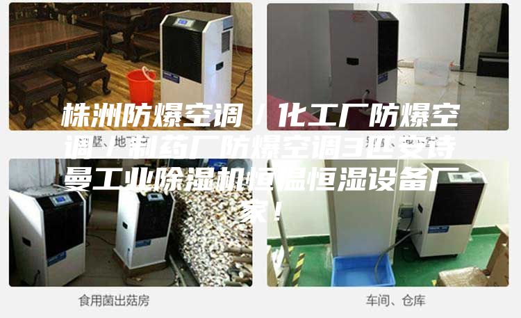 株洲防爆空調/化工廠防爆空調/制藥廠防爆空調3匹安詩曼工業除濕機恒溫恒濕設備廠家!