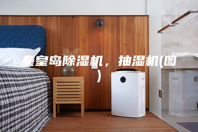秦皇島除濕機(jī),抽濕機(jī)(圖)