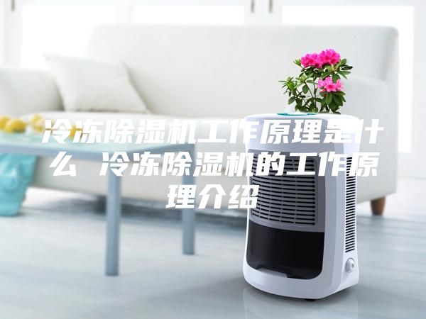 冷凍除濕機(jī)工作原理是什么 冷凍除濕機(jī)的工作原理介紹