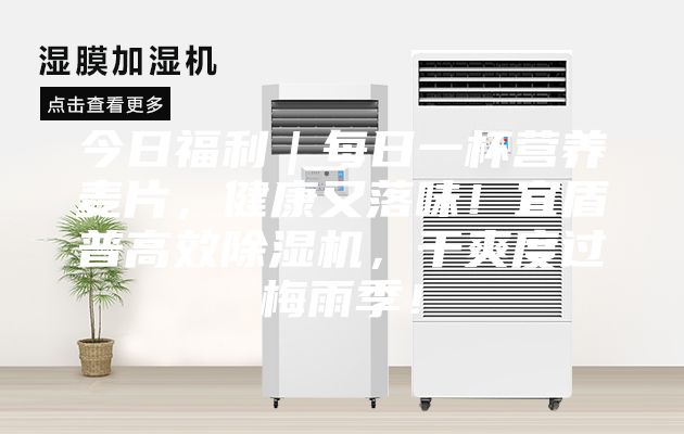 今日福利|每日一杯營養(yǎng)麥片,健康又落味!宜盾普高效除濕機,干爽度過梅雨季!