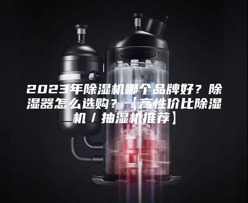2023年除濕機(jī)哪個(gè)品牌好?除濕器怎么選購(gòu)?【高性價(jià)比除濕機(jī)/抽濕機(jī)推薦】