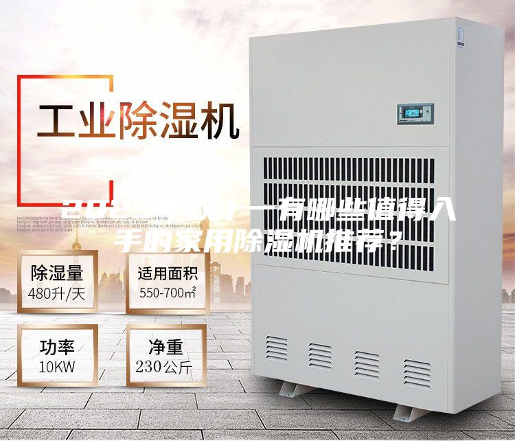 2023年雙十一有哪些值得入手的家用除濕機推薦？