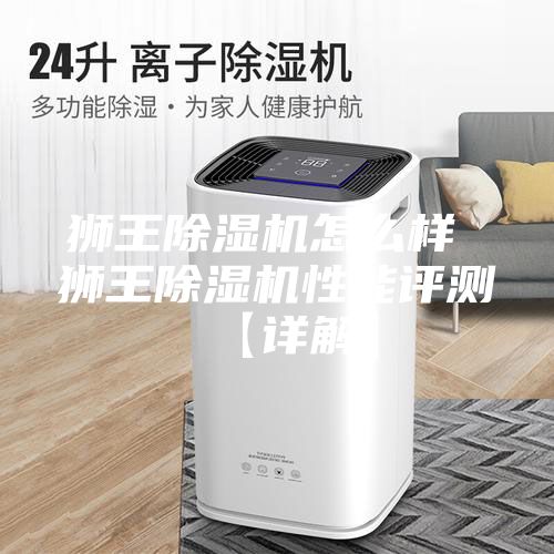 獅王除濕機(jī)怎么樣 獅王除濕機(jī)性能評測【詳解】