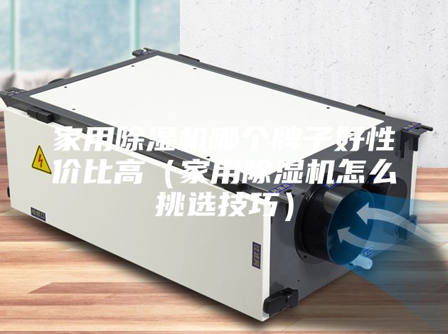 家用除濕機(jī)哪個牌子好性價比高（家用除濕機(jī)怎么挑選技巧）