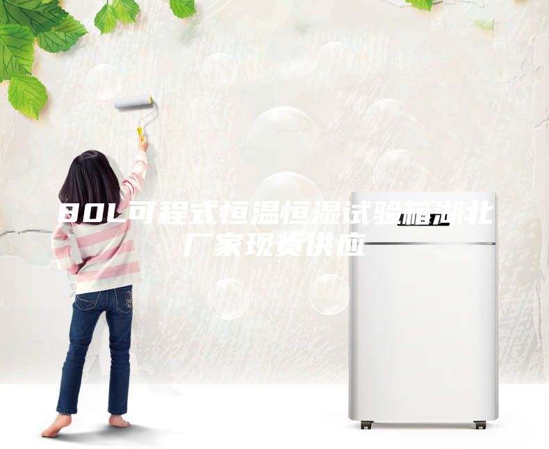 80L可程式恒溫恒濕試驗(yàn)箱湖北廠家現(xiàn)貨供應(yīng)