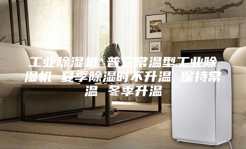 工業(yè)除濕機 普立常溫型工業(yè)除濕機 夏季除濕時不升溫 保持常溫 冬季升溫