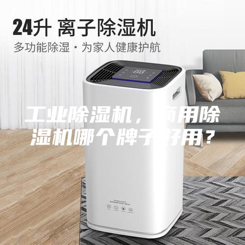 工業(yè)除濕機(jī)，商用除濕機(jī)哪個牌子好用？