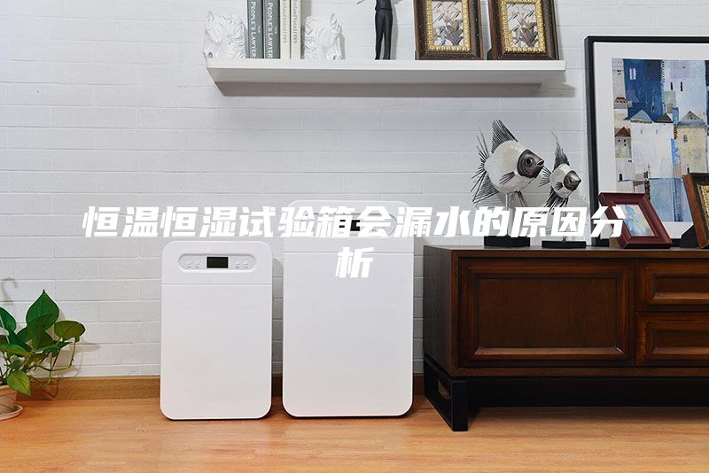 恒溫恒濕試驗(yàn)箱會漏水的原因分析