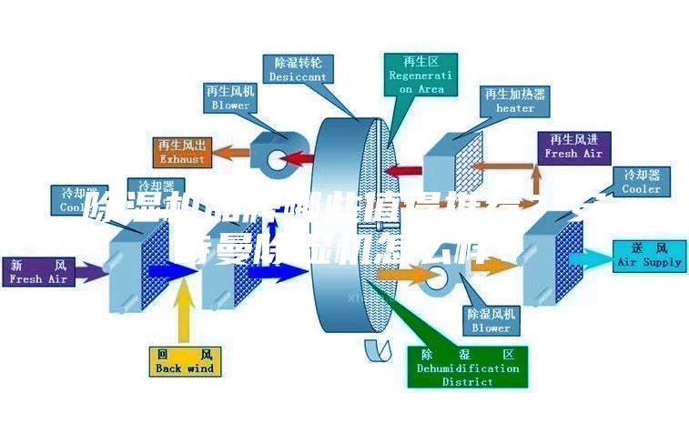 除濕機(jī)品牌哪些值得推薦？安詩曼除濕機(jī)怎么樣？
