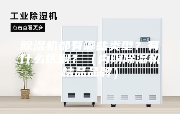除濕機(jī)都有哪些類型？有什么區(qū)別？（內(nèi)附除濕機(jī)精品品牌）