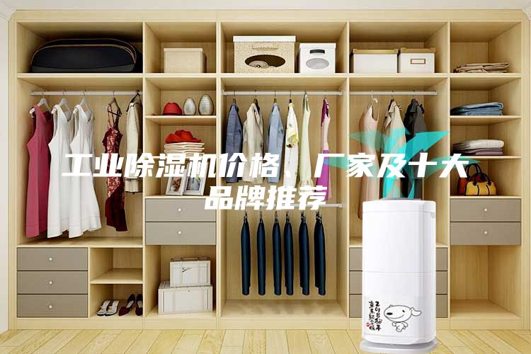 工業(yè)除濕機價格、廠家及十大品牌推薦