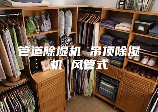 管道除濕機 吊頂除濕機 風(fēng)管式