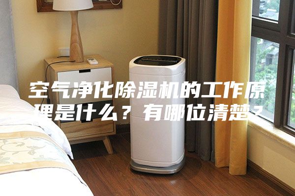 空氣凈化除濕機(jī)的工作原理是什么？有哪位清楚？