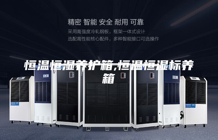恒溫恒濕養(yǎng)護箱,恒溫恒濕標養(yǎng)箱