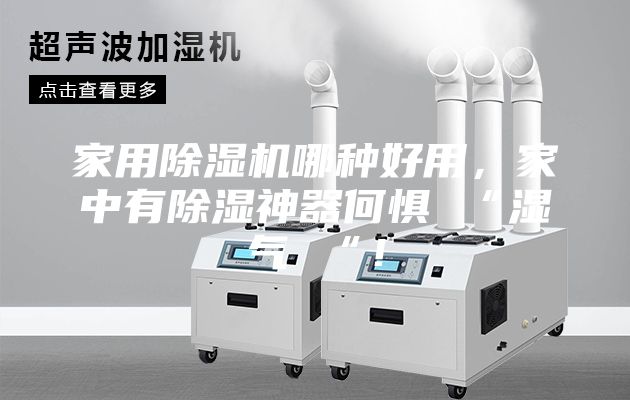 家用除濕機哪種好用,家中有除濕神器何懼 “濕氣 “!