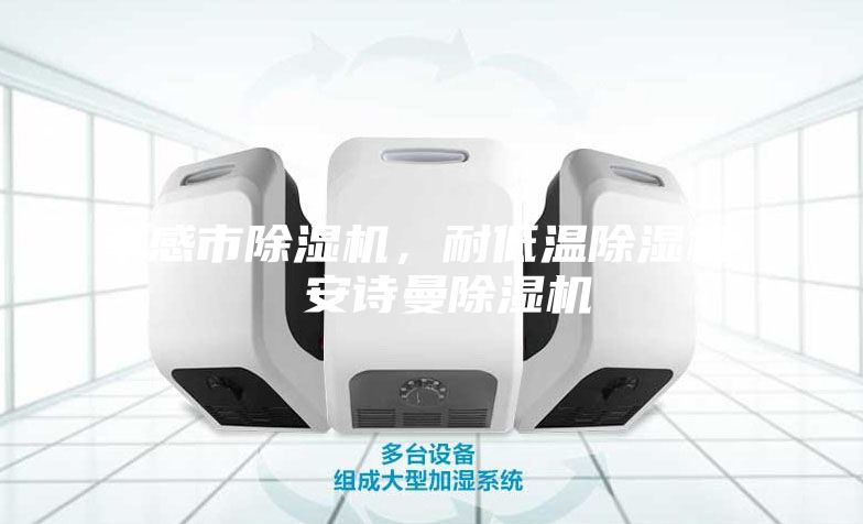 孝感市除濕機(jī),耐低溫除濕機(jī) 安詩曼除濕機(jī)