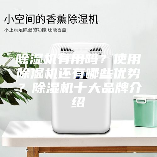 除濕機有用嗎？使用除濕機還有哪些優勢？除濕機十大品牌介紹