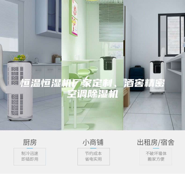恒溫恒濕機廠家定制、酒窖精密空調(diào)除濕機
