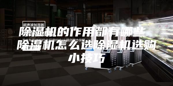 除濕機(jī)的作用都有哪些 除濕機(jī)怎么選除濕機(jī)選購(gòu)小技巧