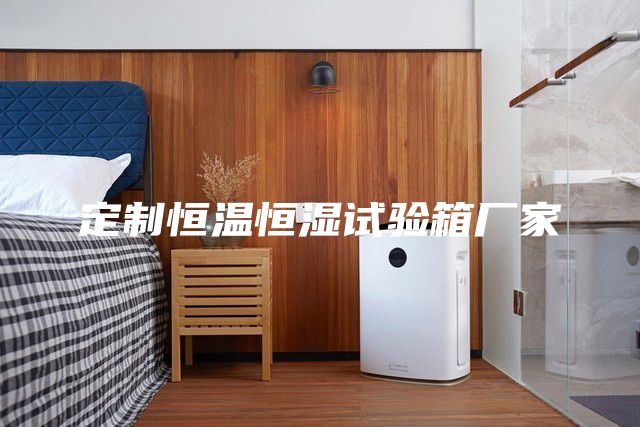定制恒溫恒濕試驗箱廠家