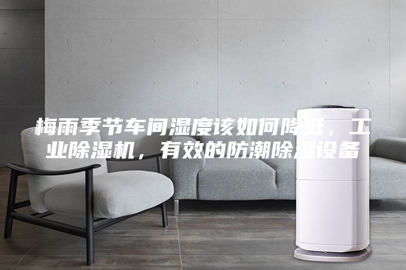 梅雨季節(jié)車間濕度該如何降低，工業(yè)除濕機(jī)，有效的防潮除濕設(shè)備