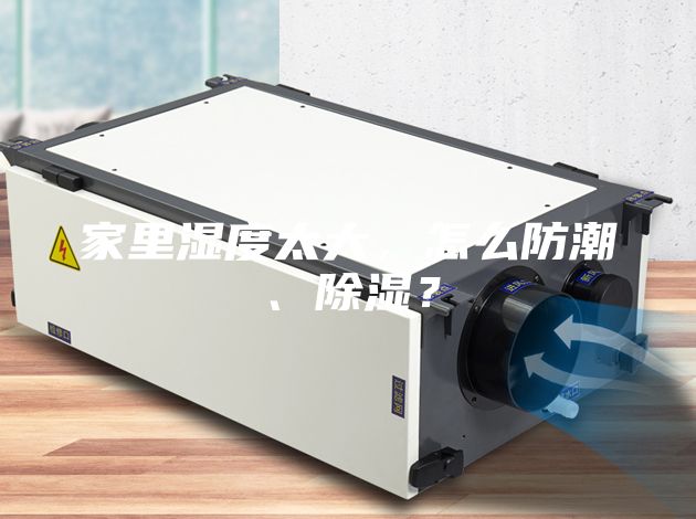 家里濕度太大，怎么防潮、除濕？