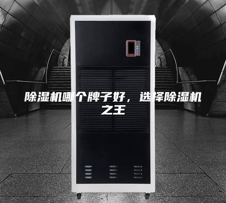 除濕機哪個牌子好，選擇除濕機之王