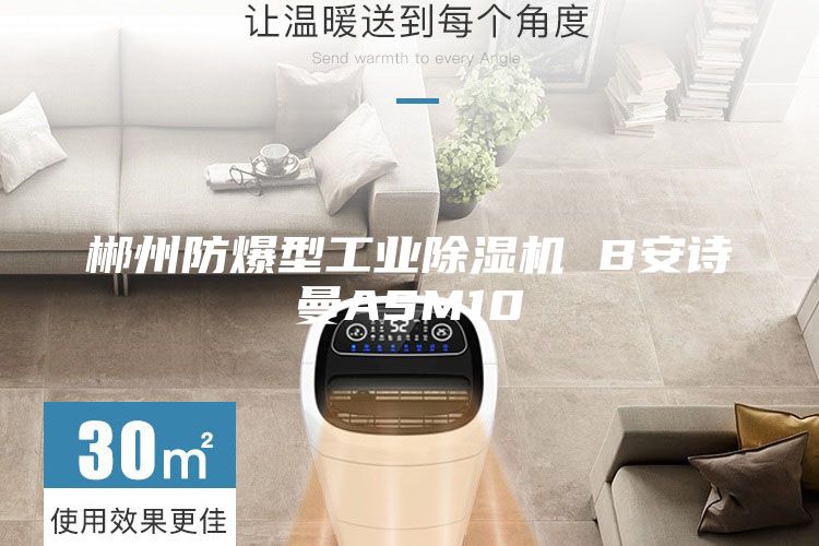 郴州防爆型工業(yè)除濕機(jī) B安詩曼ASM10