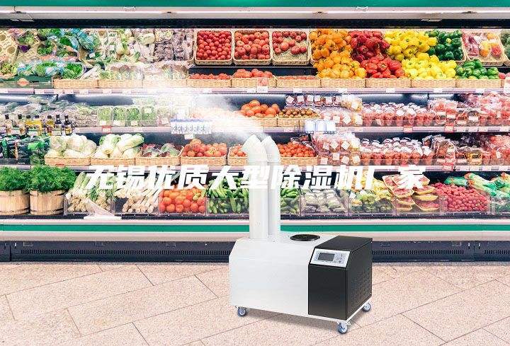 無錫優(yōu)質(zhì)大型除濕機(jī)廠家