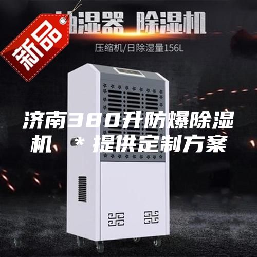 濟(jì)南380升防爆除濕機(jī) ＊提供定制方案
