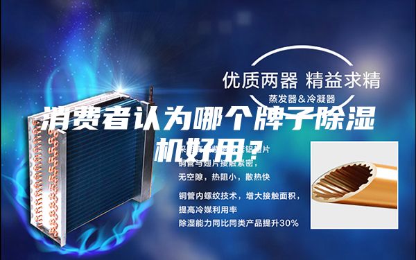 消費者認為哪個牌子除濕機好用？