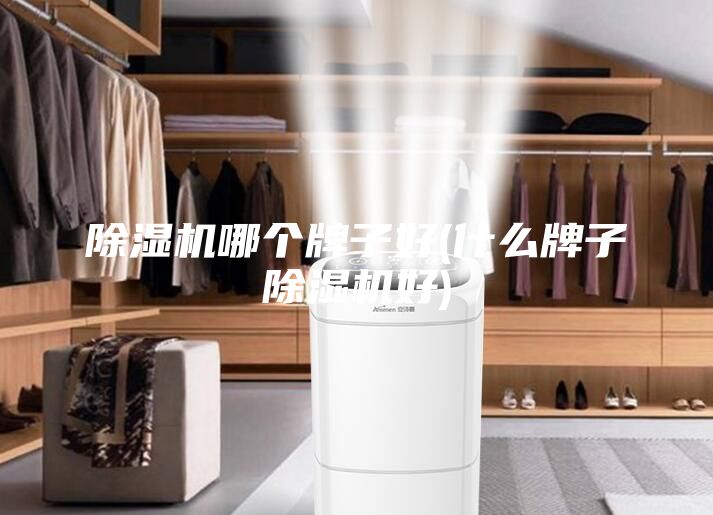 除濕機(jī)哪個牌子好(什么牌子除濕機(jī)好)