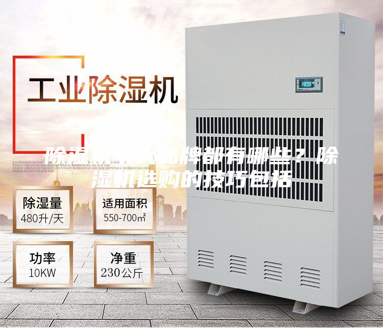 除濕機(jī)十大品牌都有哪些？除濕機(jī)選購(gòu)的技巧包括