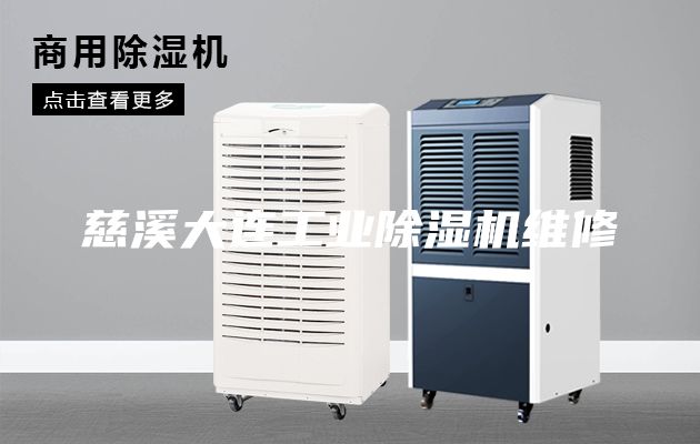 慈溪大連工業(yè)除濕機(jī)維修