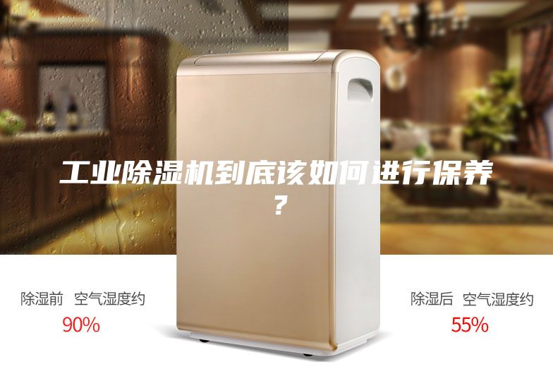 工業除濕機到底該如何進行保養？