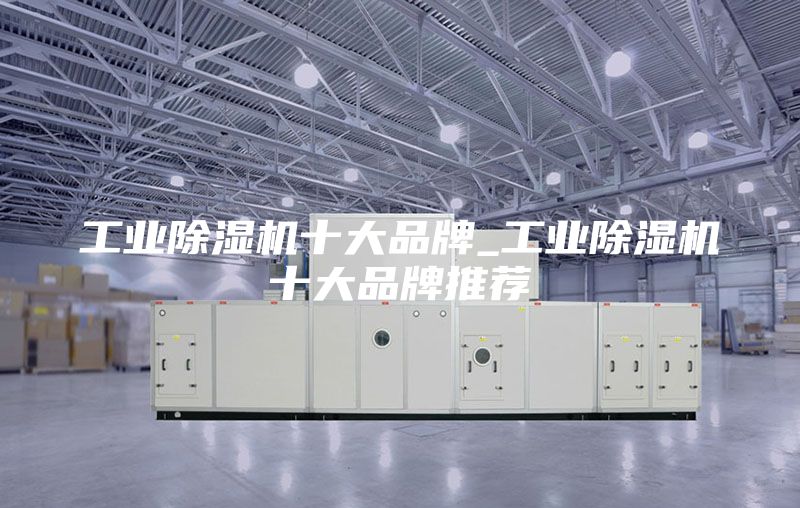 工業(yè)除濕機(jī)十大品牌_工業(yè)除濕機(jī)十大品牌推薦