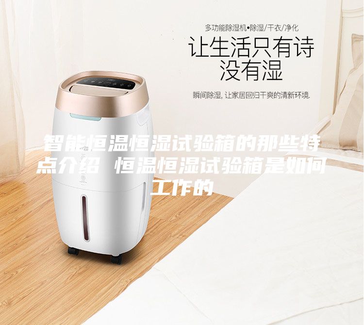 智能恒溫恒濕試驗箱的那些特點介紹 恒溫恒濕試驗箱是如何工作的