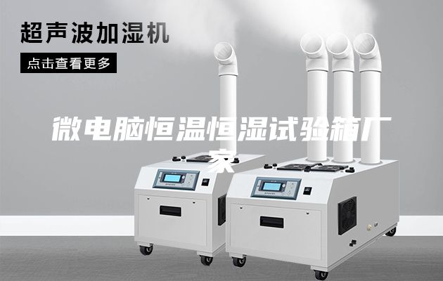 微電腦恒溫恒濕試驗箱廠家