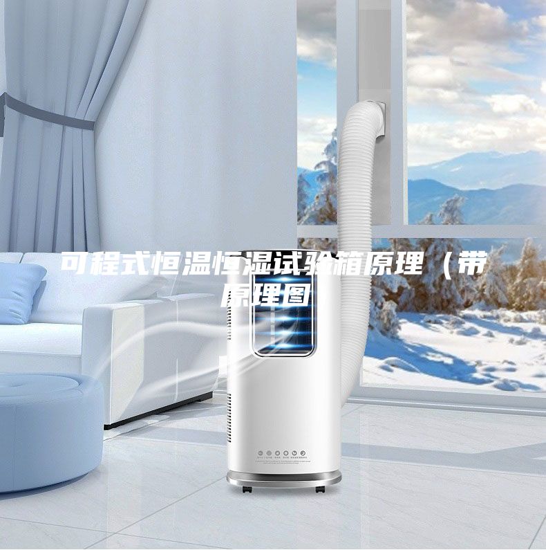 可程式恒溫恒濕試驗(yàn)箱原理（帶原理圖）