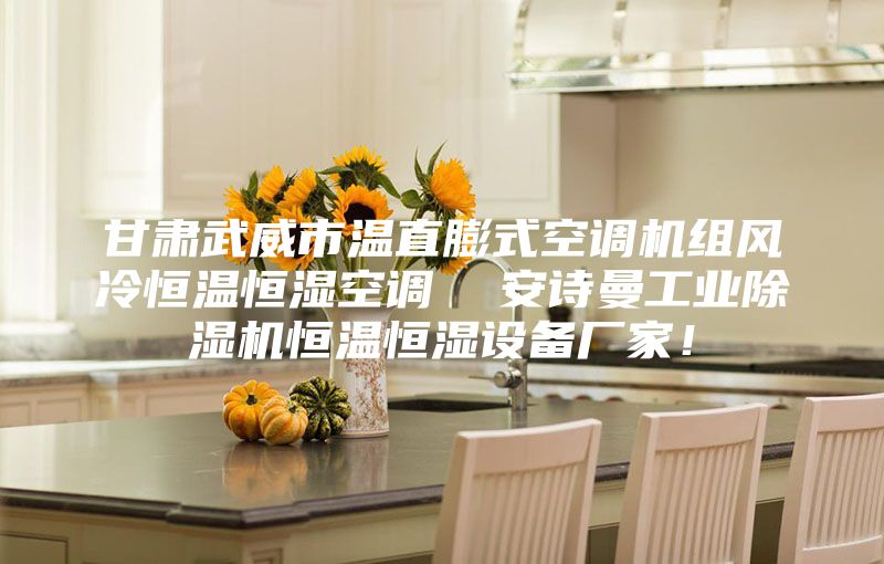 甘肅武威市溫直膨式空調機組風冷恒溫恒濕空調  安詩曼工業除濕機恒溫恒濕設備廠家！