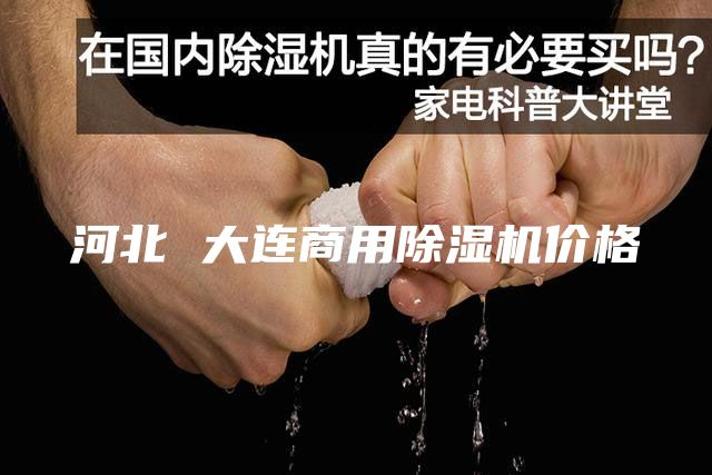 河北 大連商用除濕機價格