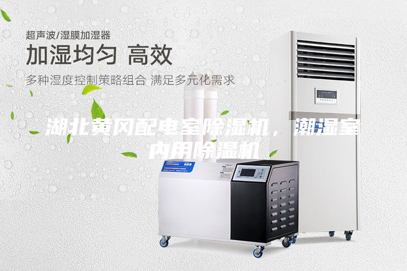 湖北黃岡配電室除濕機，潮濕室內用除濕機