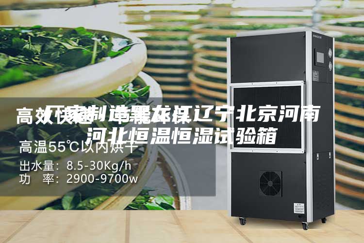 廠家制造黑龍江遼寧北京河南河北恒溫恒濕試驗箱