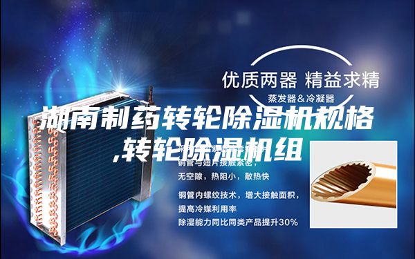湖南制藥轉(zhuǎn)輪除濕機規(guī)格,轉(zhuǎn)輪除濕機組