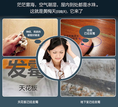 吊裝式中央除濕機，滿足全屋除濕需求