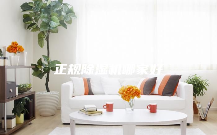 正規除濕機哪家好
