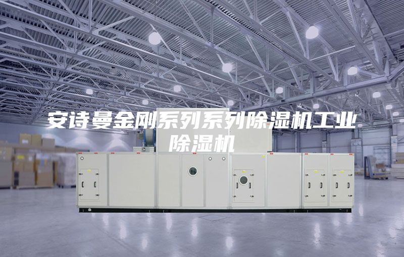 安詩(shī)曼金剛系列系列除濕機(jī)工業(yè)除濕機(jī)