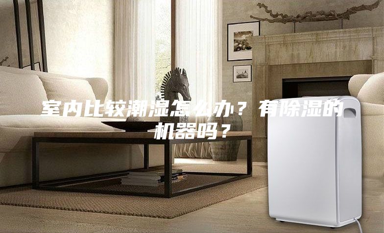 室內比較潮濕怎么辦？有除濕的機器嗎？